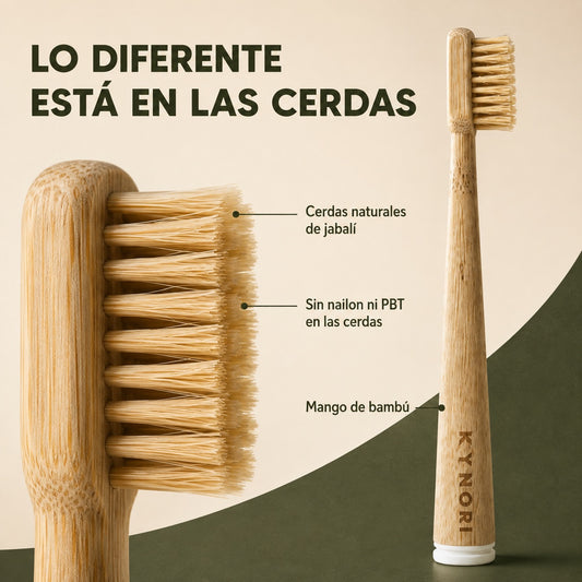 Primer plano del cepillo de dientes KYNORI con mango de bambú y cerdas naturales de jabalí