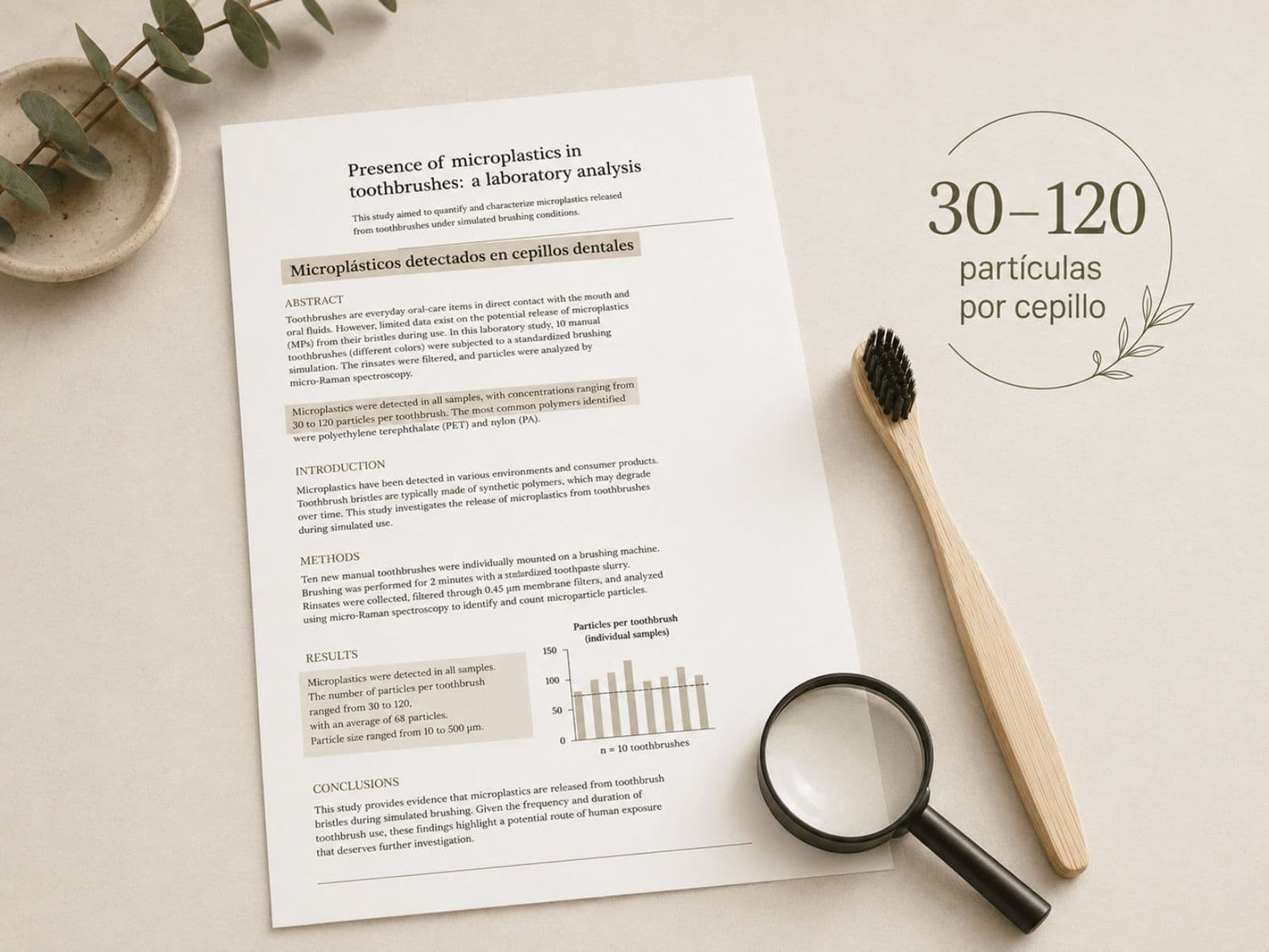 Documento científico sobre microplásticos en productos de higiene oral junto a un cepillo de bambú y una lupa.