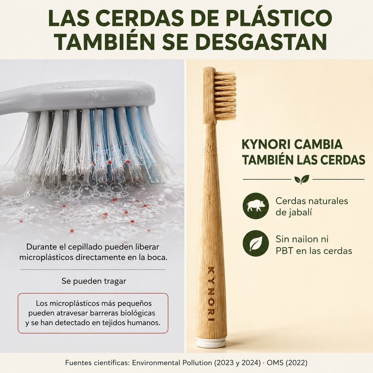 Comparación entre cerdas plásticas que pueden liberar microplásticos durante el cepillado y KYNORI con cerdas naturales de jabalí sin nailon ni PBT.