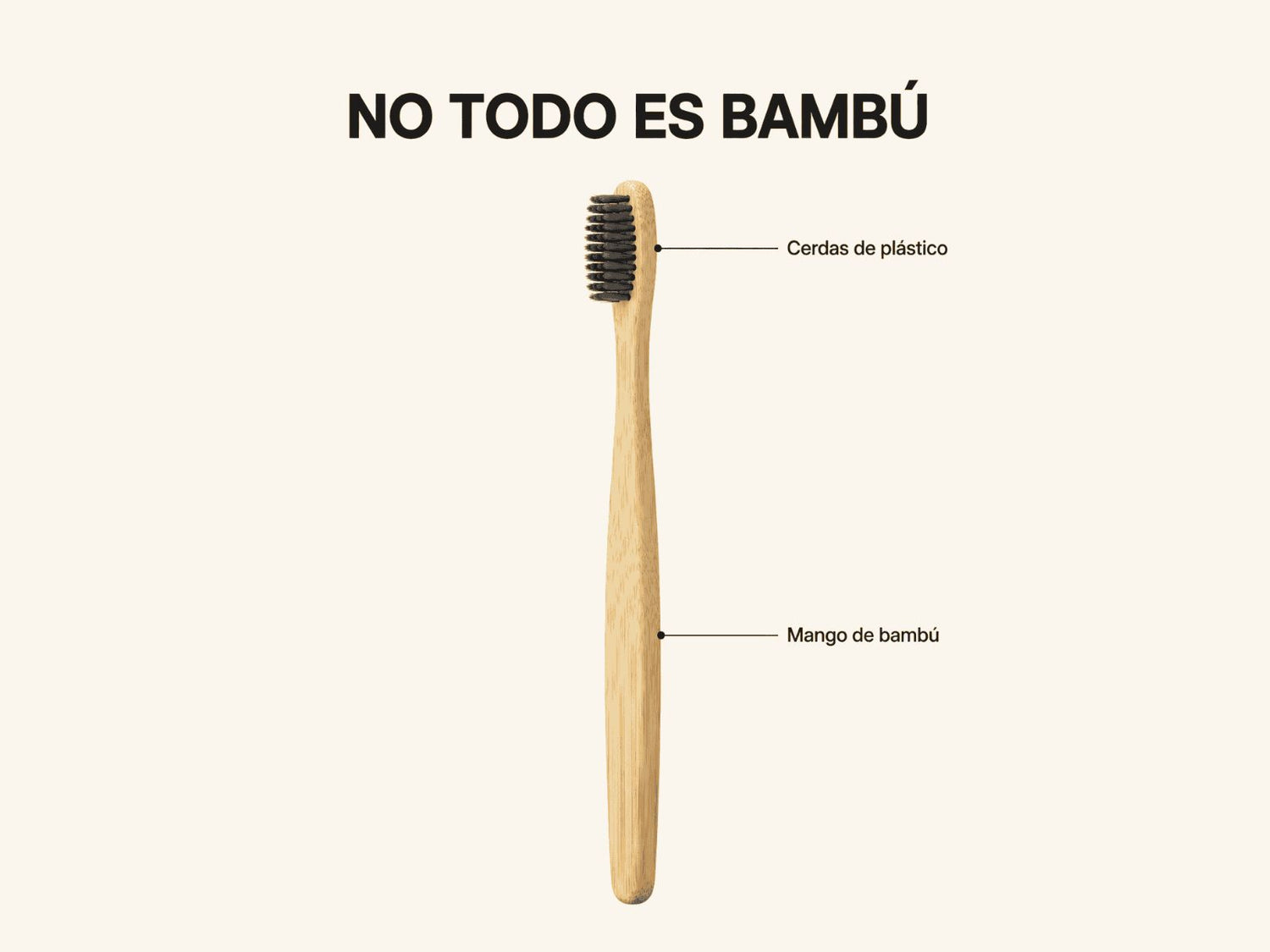 Cepillo de dientes de bambú con cerdas de plástico y etiquetas señalando el mango de bambú y las cerdas sintéticas.